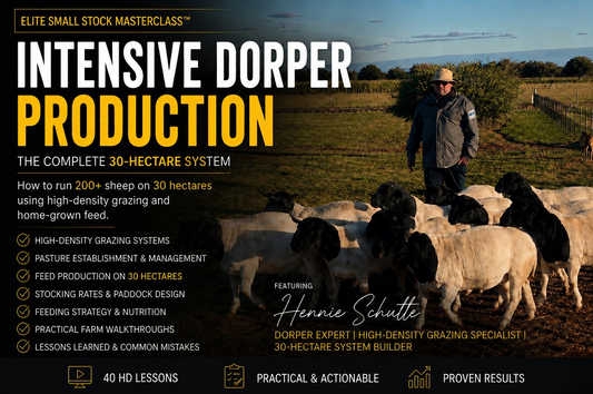 Elite Small Stock Masterclass™ | Intensive Dorper Production