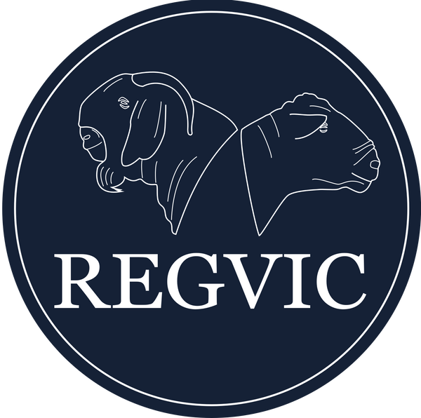 Regvic